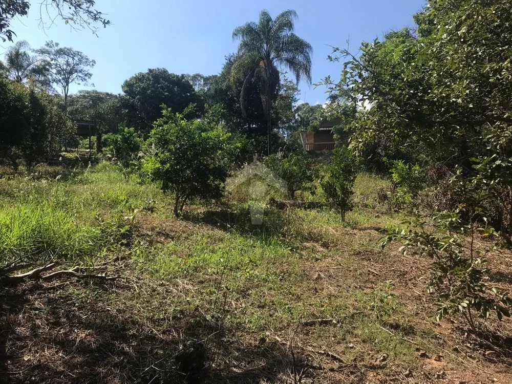Sítio, 7 quartos, 8000 m² - Foto 13