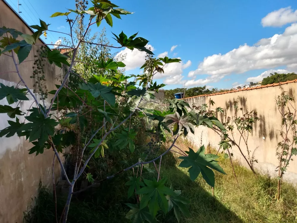 Terreno, 208 m² - Foto 4