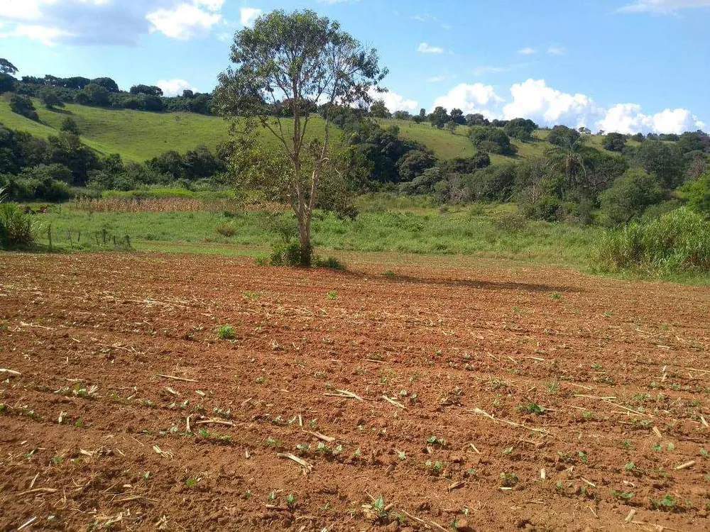 Fazenda, 72 m² - Foto 6
