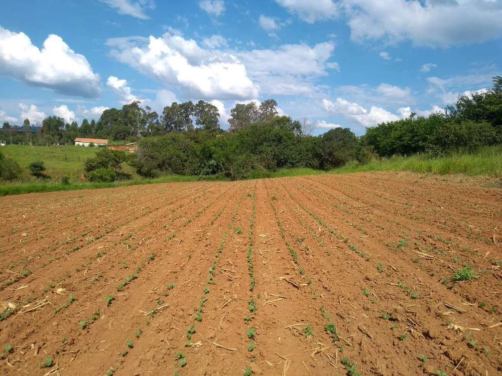 Fazenda, 72 m² - Foto 14