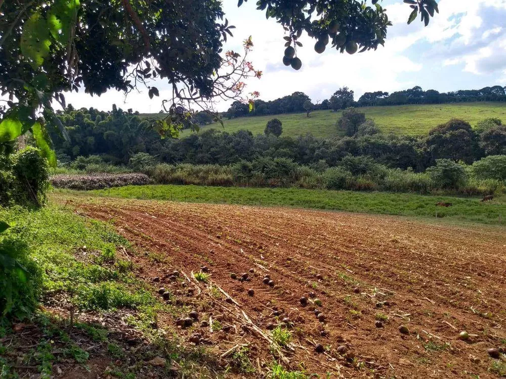 Fazenda, 72 m² - Foto 4