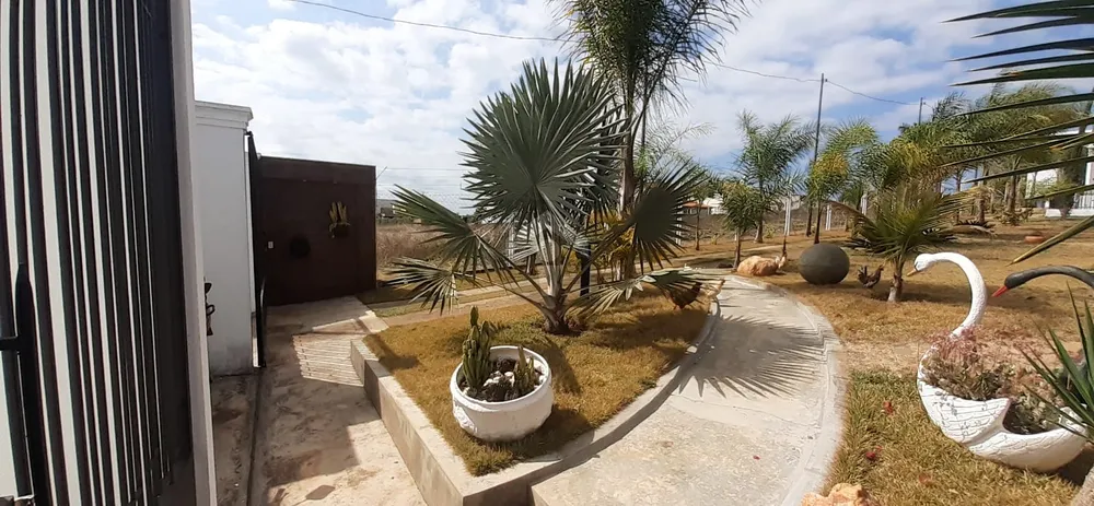 Sítio, 2 quartos, 900 m² - Foto 3