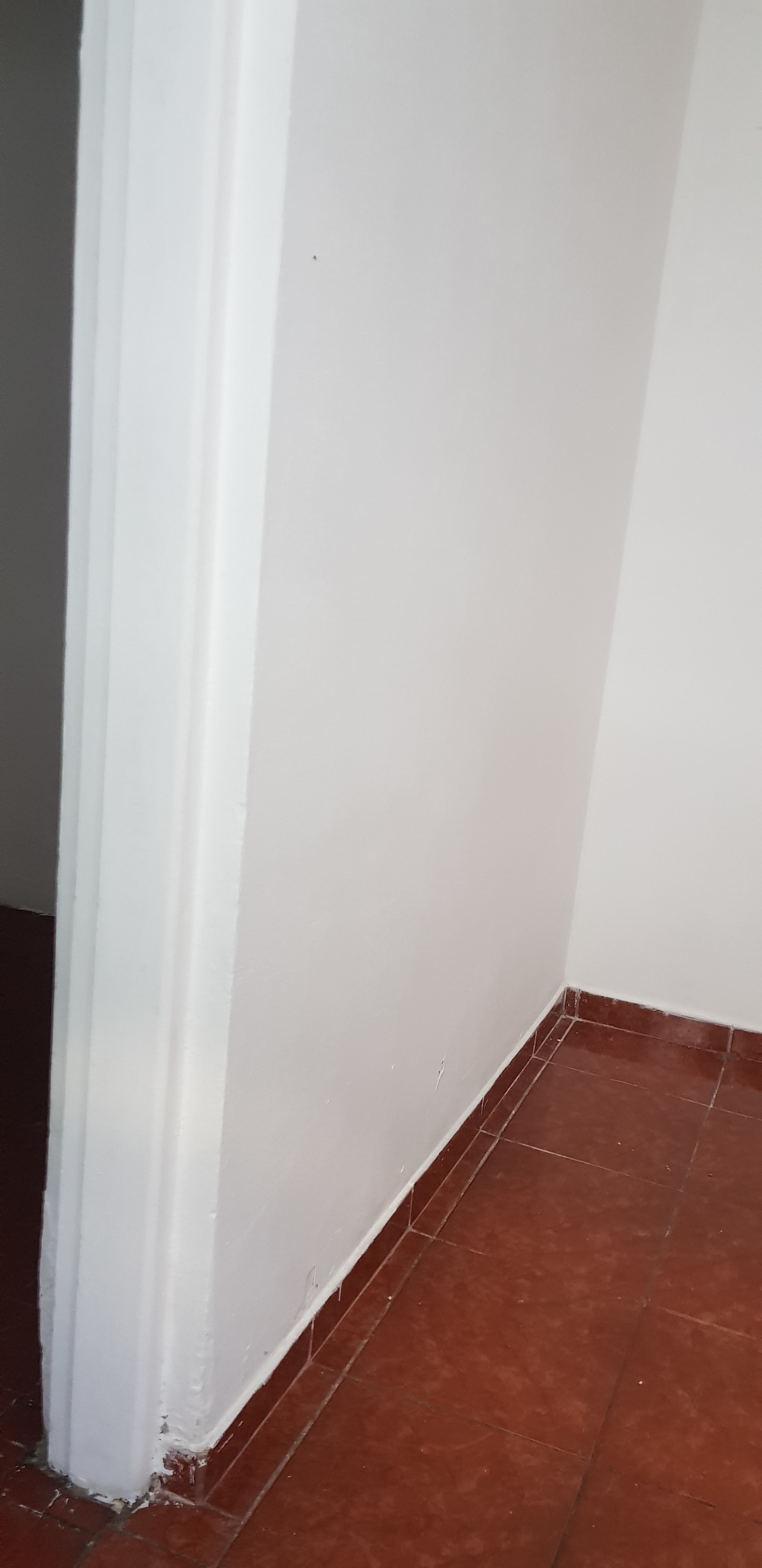 Casa para alugar, 35m² - Foto 3