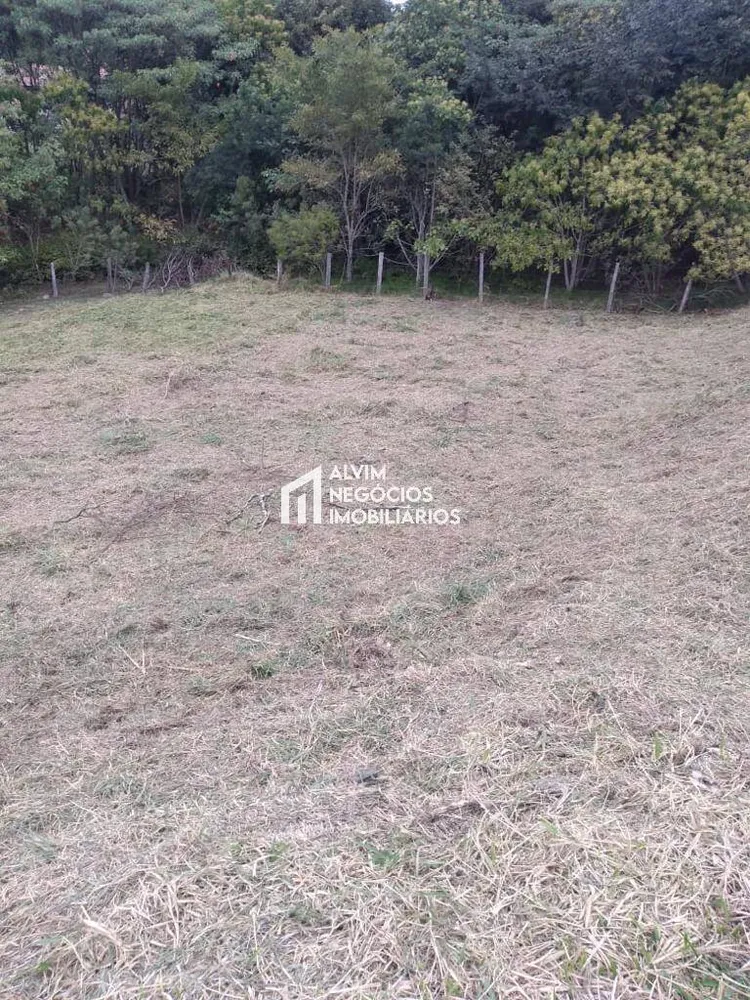 Terreno, 9100 m² - Foto 11