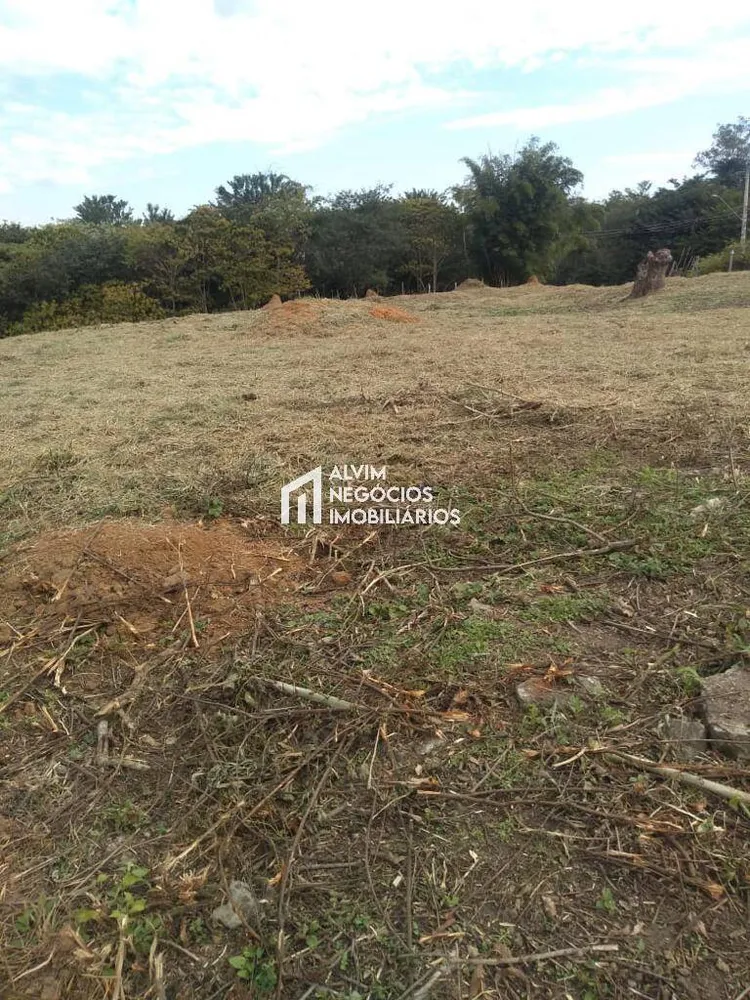 Terreno, 9100 m² - Foto 10