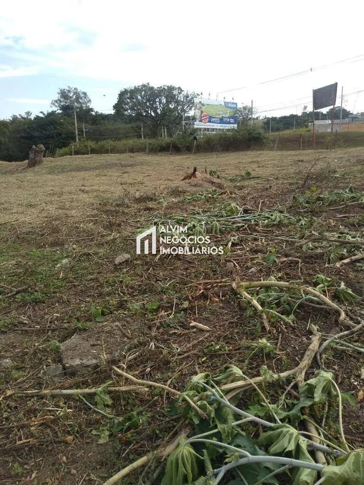 Terreno, 9100 m² - Foto 1