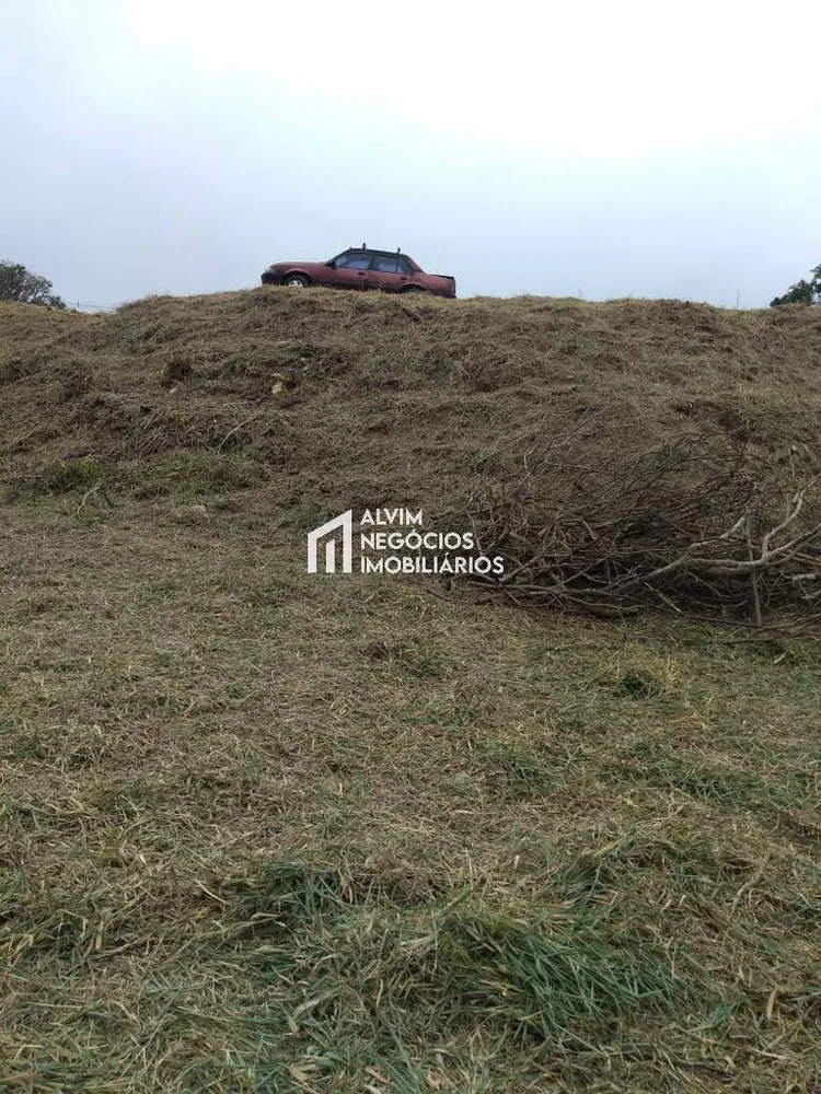 Terreno, 9100 m² - Foto 14