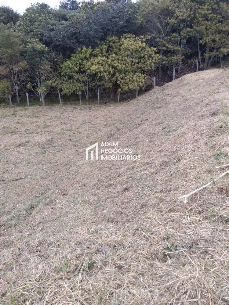 Terreno, 9100 m² - Foto 6
