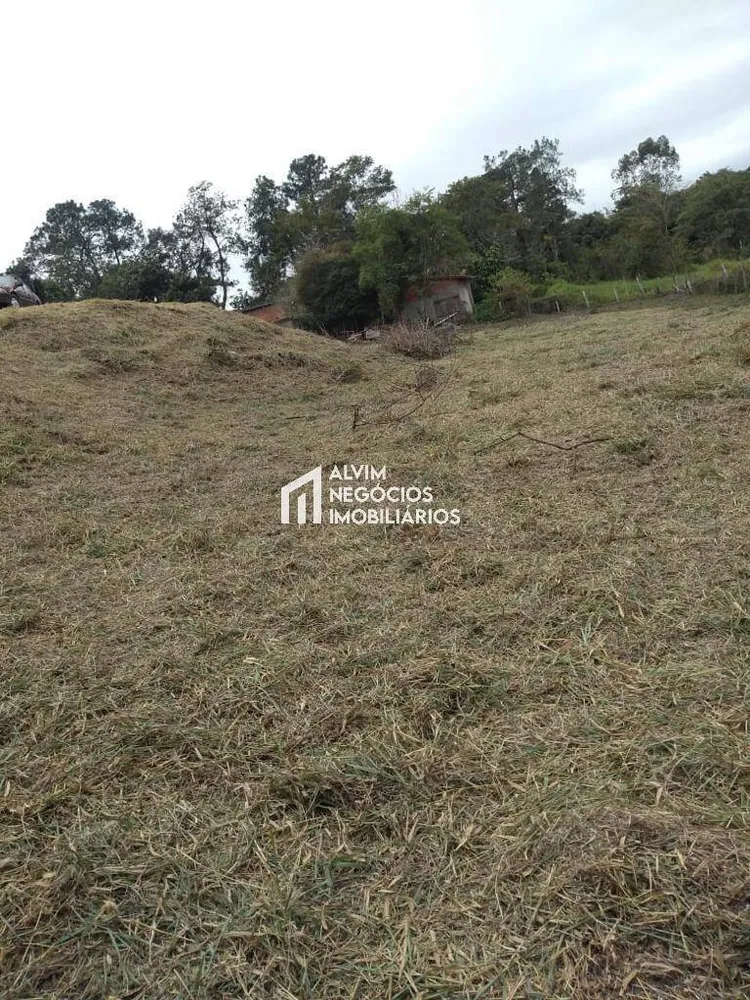 Terreno, 9100 m² - Foto 8