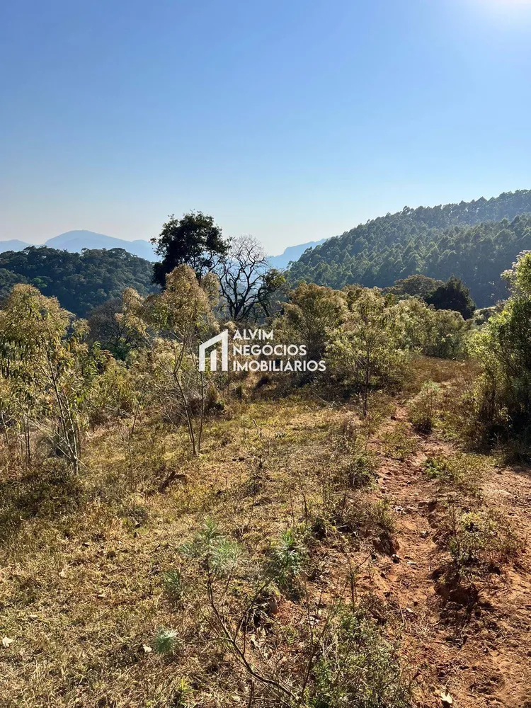 Terreno, 7 hectares - Foto 6