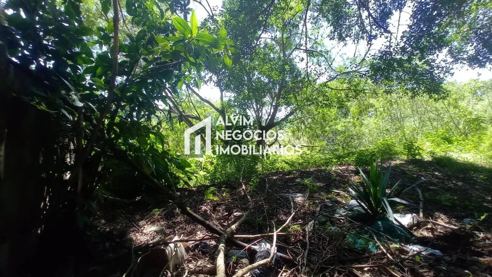Terreno, 685 m² - Foto 10