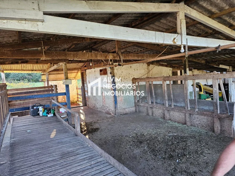 Sítio, 3 quartos, 5 hectares - Foto 12