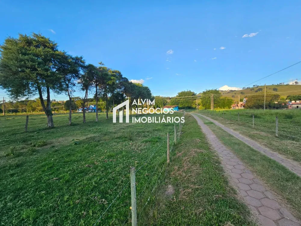 Sítio, 3 quartos, 5 hectares - Foto 6