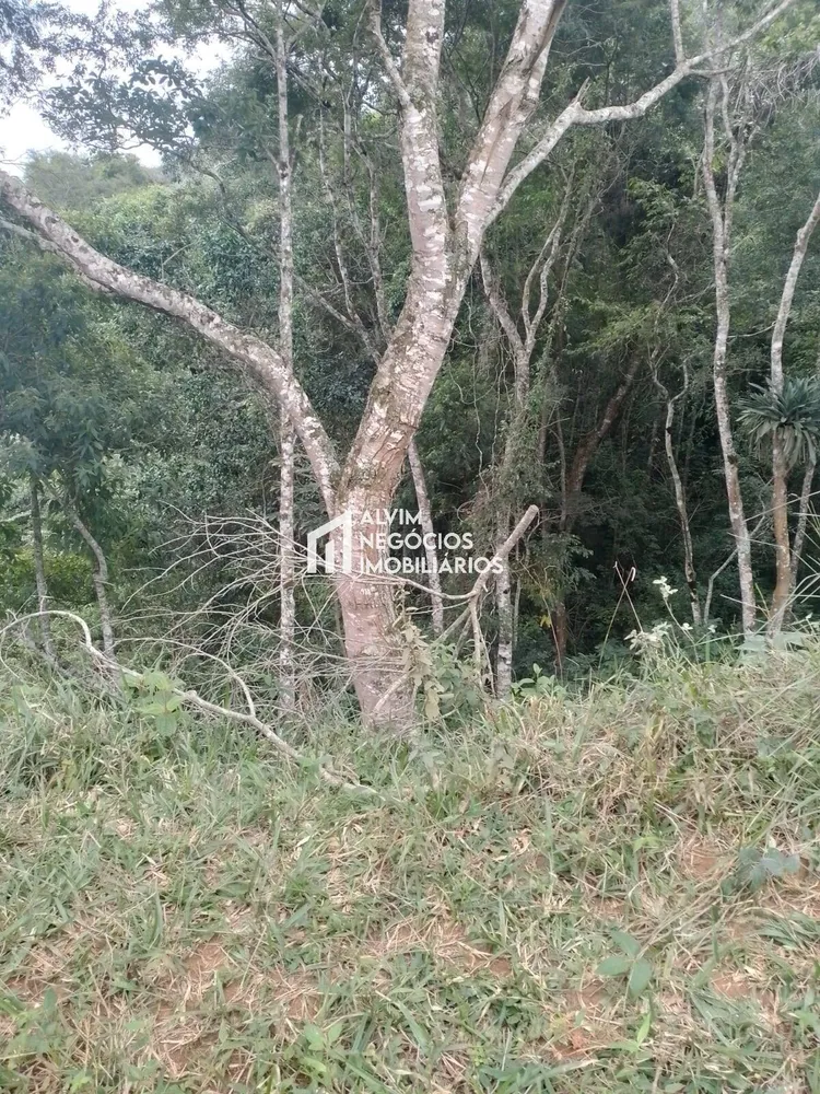 Terreno, 30 m² - Foto 4