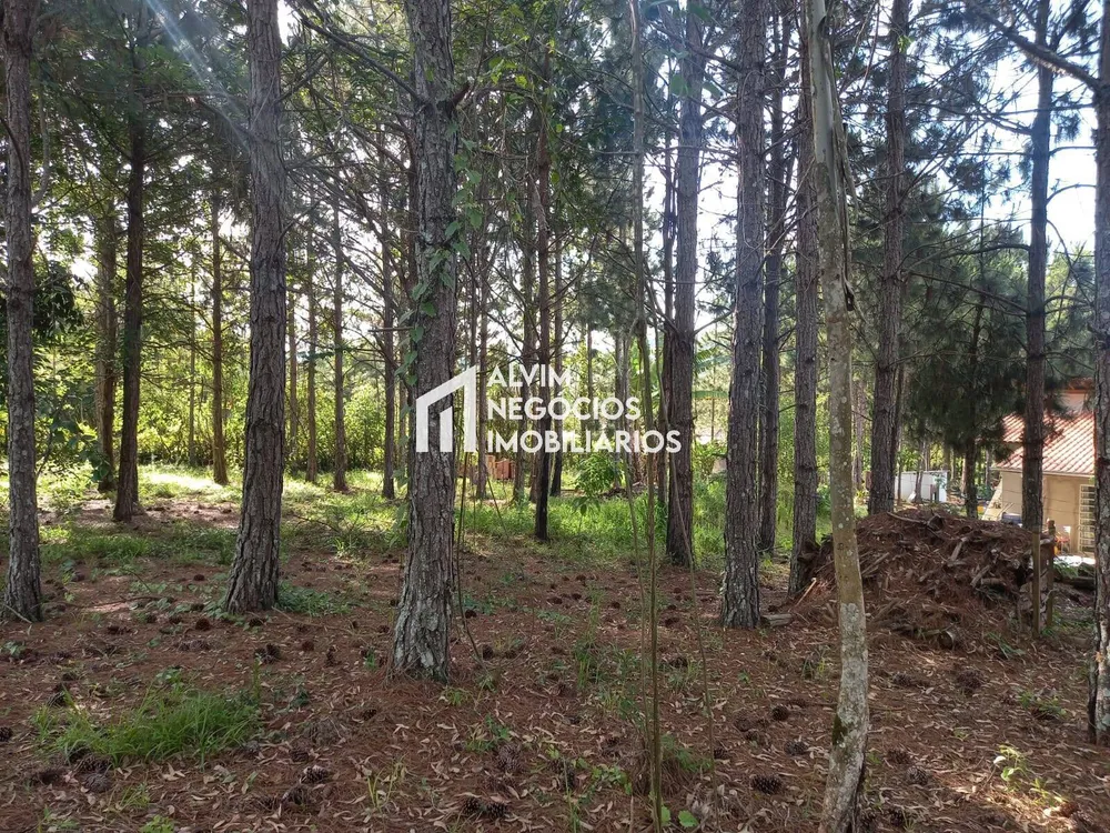 Prédio Inteiro, 576 m² - Foto 11