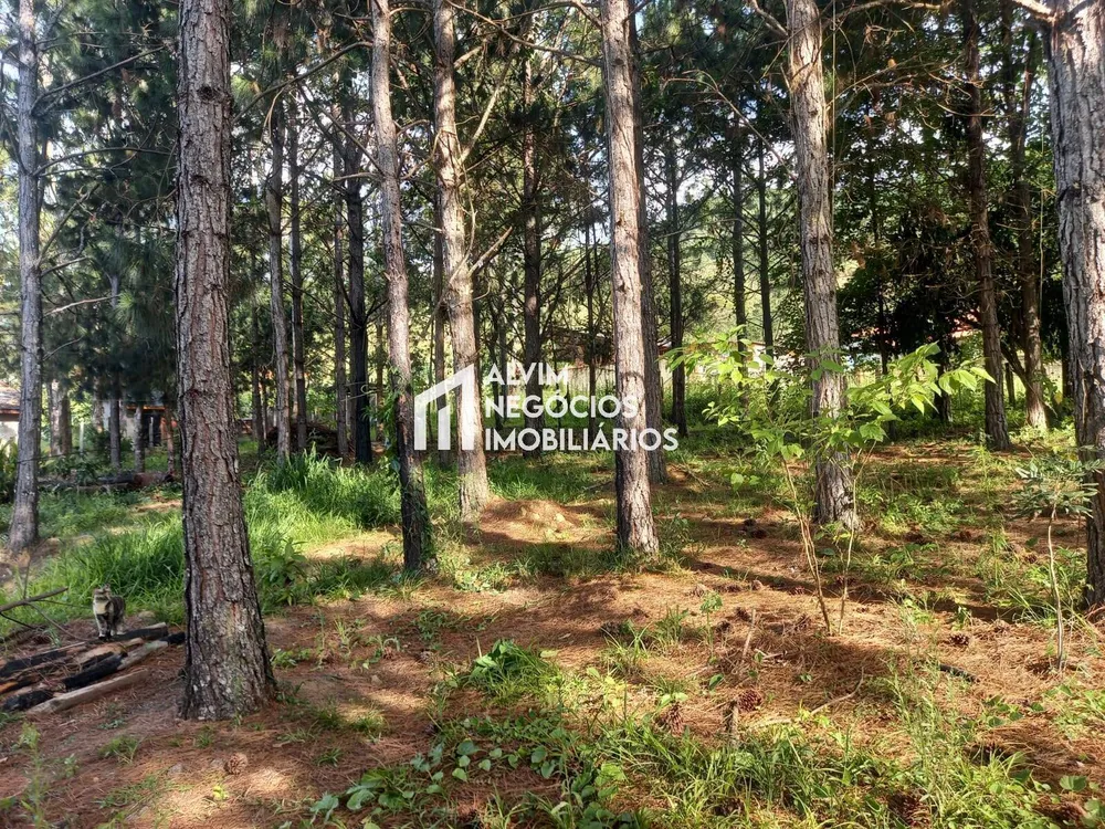 Prédio Inteiro, 576 m² - Foto 10