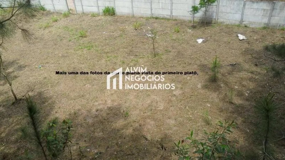 Terreno, 1515 m² - Foto 15