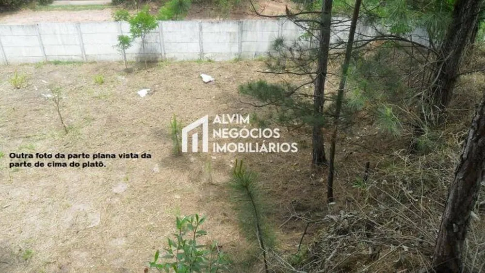 Terreno, 1515 m² - Foto 8
