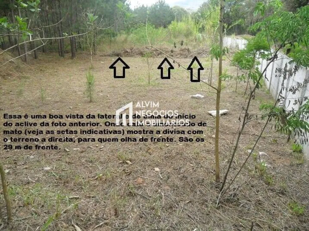 Terreno, 1515 m² - Foto 8