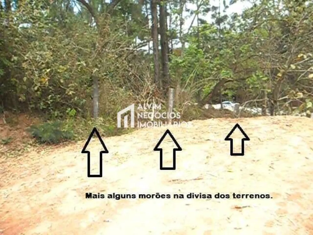 Terreno, 1515 m² - Foto 6