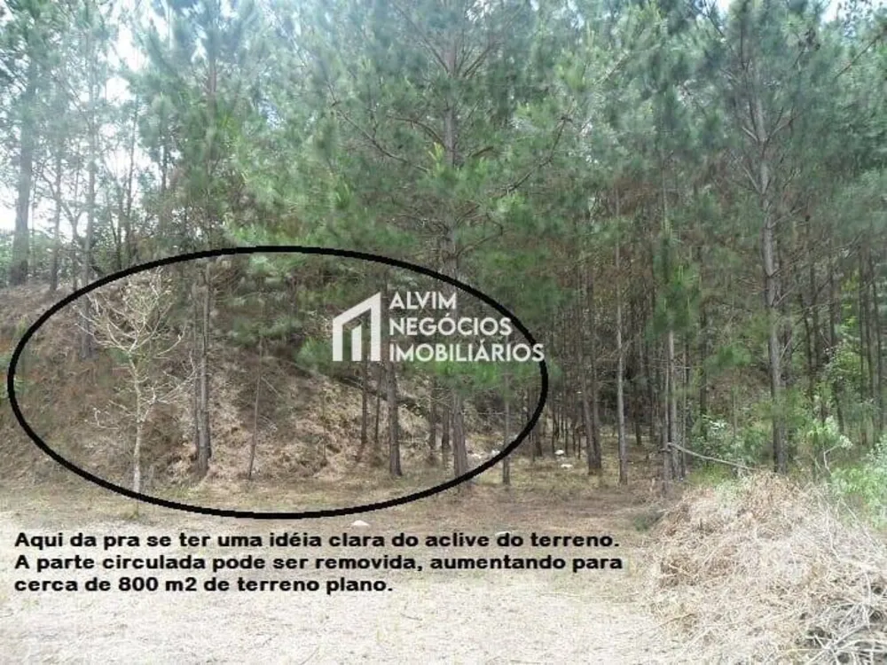 Terreno, 1515 m² - Foto 6