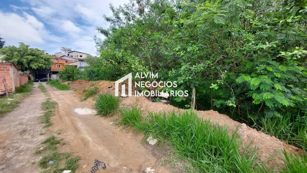 Terreno, 5000 m² - Foto 5