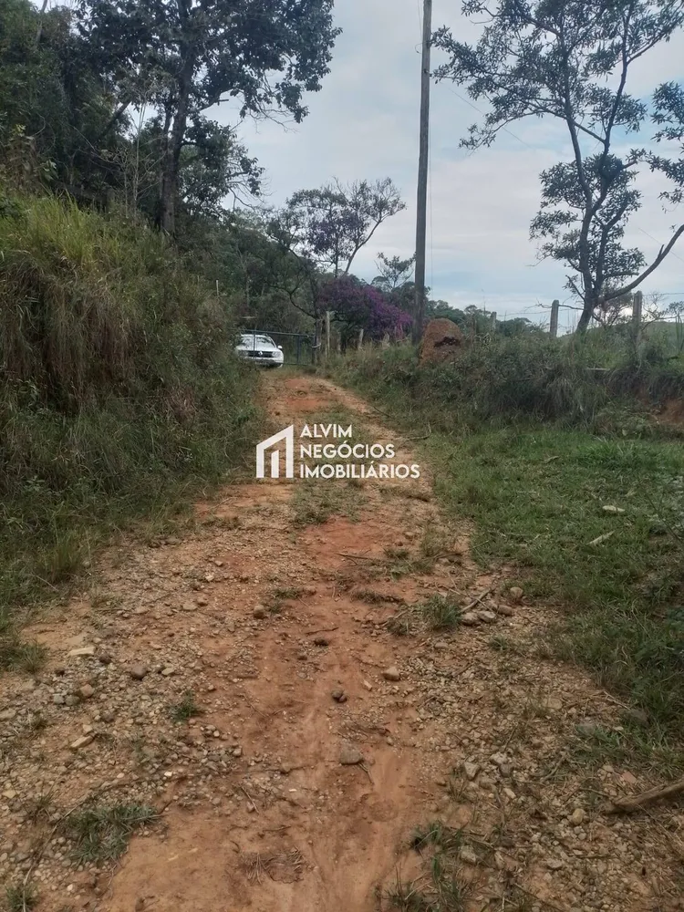 Terreno, 60 hectares - Foto 1