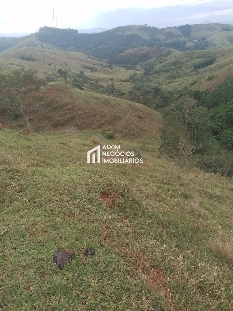 Terreno, 60 hectares - Foto 8