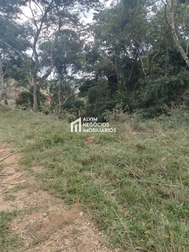 Terreno, 60 hectares - Foto 3