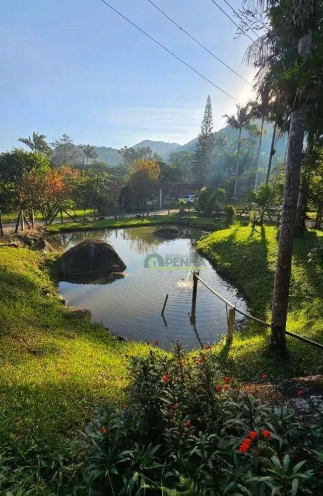 Sítio, 2 quartos, 1800 m² - Foto 5