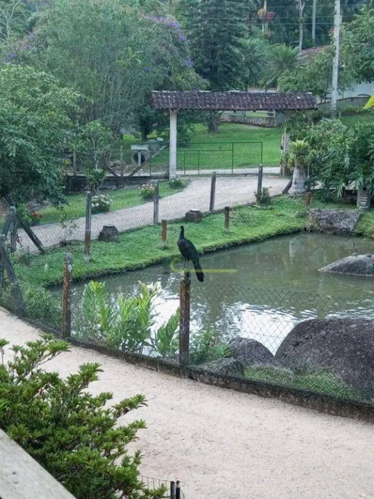 Sítio, 2 quartos, 1800 m² - Foto 11