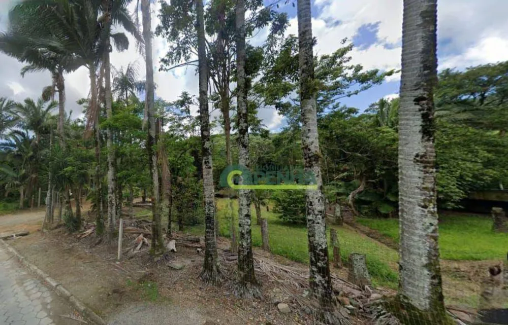 Terreno, 6 hectares - Foto 3