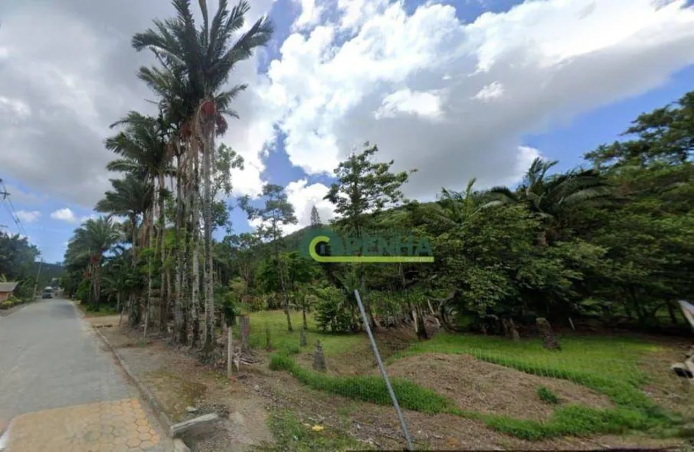 Terreno, 6 hectares - Foto 1