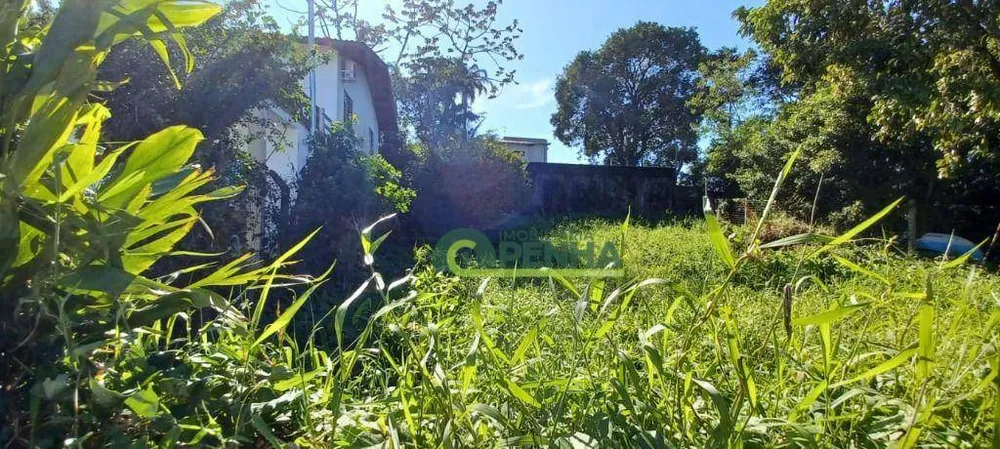 Terreno, 1537 m² - Foto 6