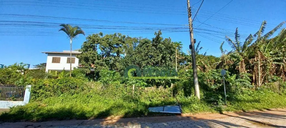 Terreno, 1537 m² - Foto 3
