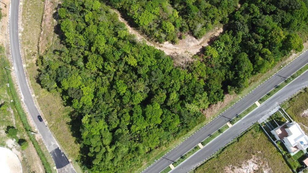 Terreno, 2000 m² - Foto 3