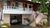Casa, 3 quartos, 220 m² - Foto 1