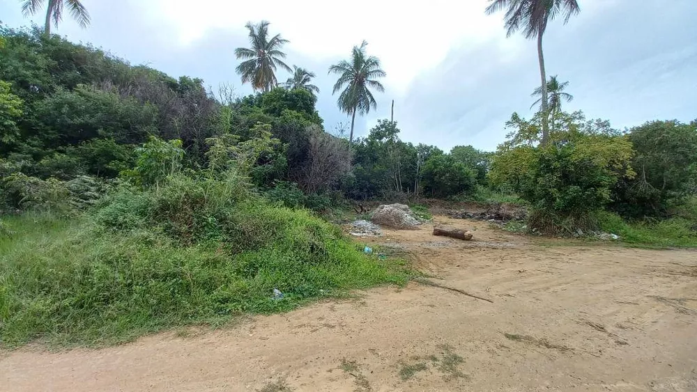 Terreno, 1000 m² - Foto 9