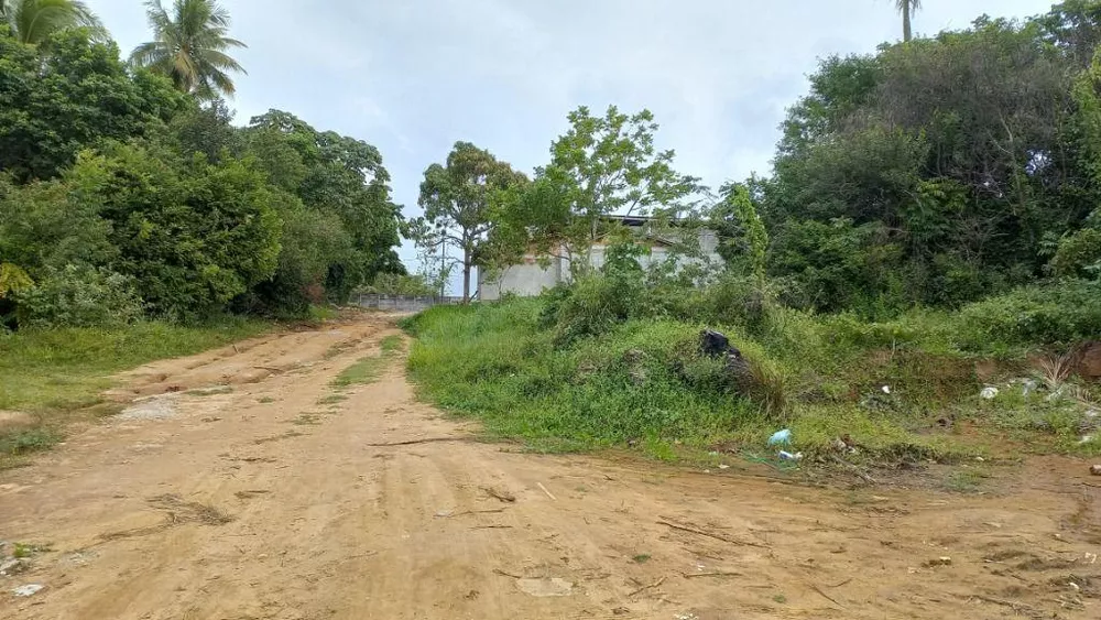 Terreno, 1000 m² - Foto 7