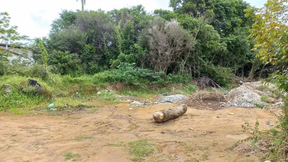 Terreno, 1000 m² - Foto 6