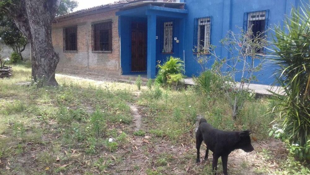 Casa, 4 quartos, 450 m² - Foto 4