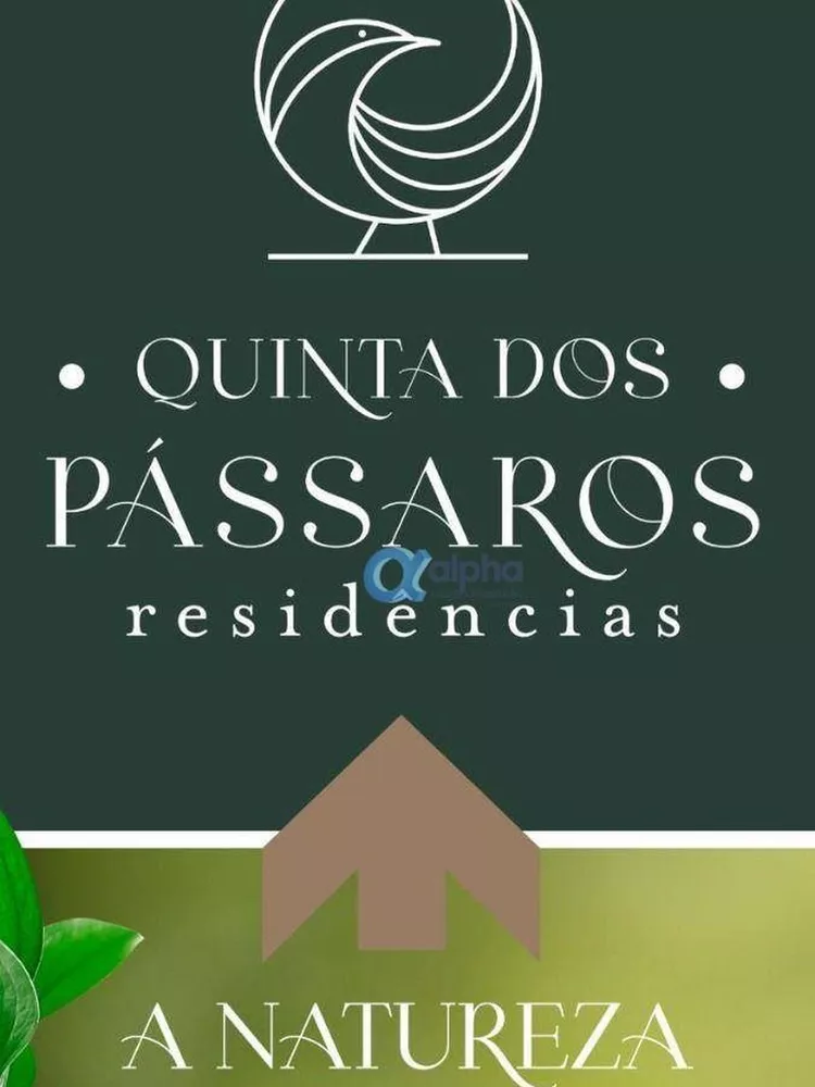 Casa, 5 quartos, 216 m² - Foto 6