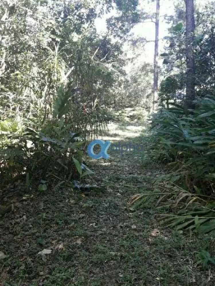 Terreno, 1024 m² - Foto 3