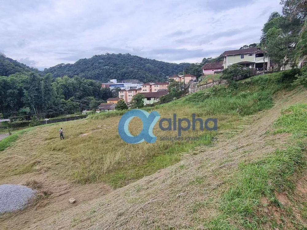 Terreno, 6 hectares - Foto 3