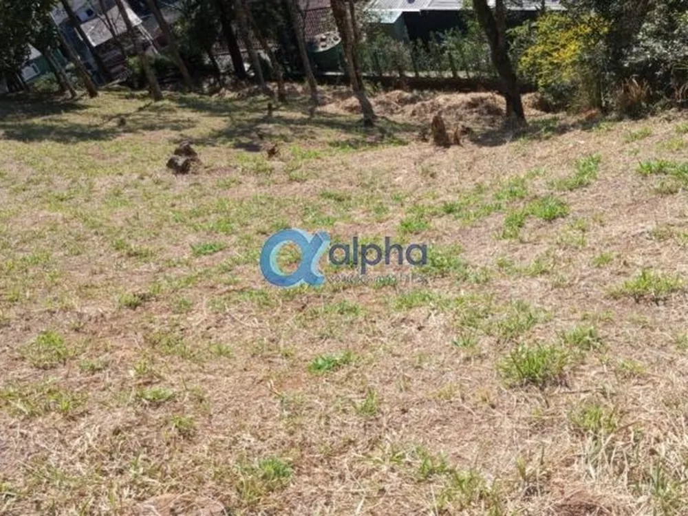 Terreno, 650 m² - Foto 7