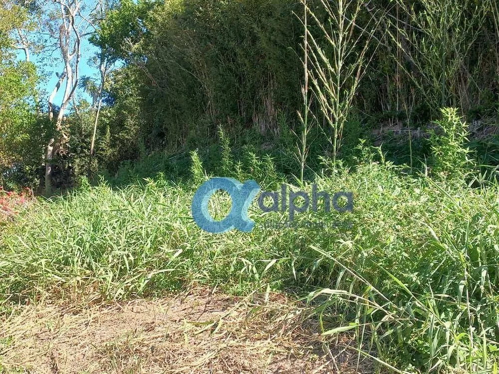 Terreno, 600 m² - Foto 2