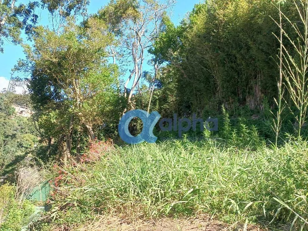 Terreno, 600 m² - Foto 4