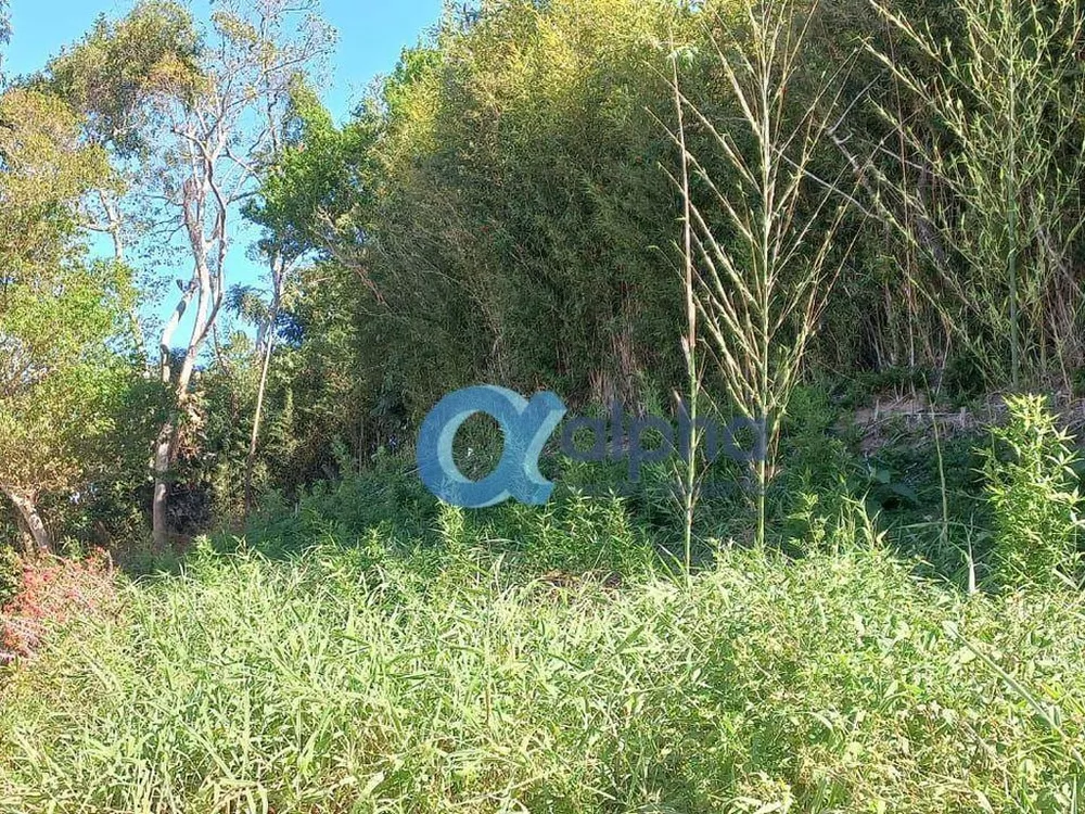 Terreno, 600 m² - Foto 5
