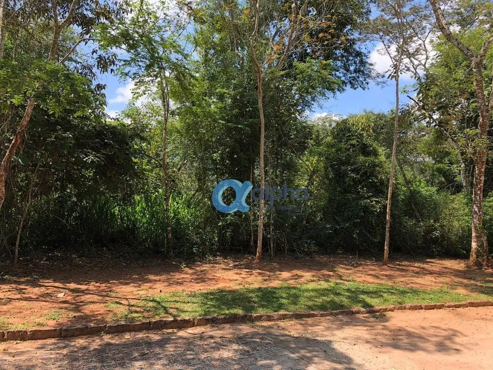 Terreno, 3622 m² - Foto 8