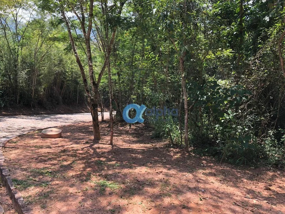 Terreno, 3622 m² - Foto 4
